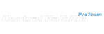 Central Haibike Pro Team