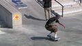 etnies Presents: Ryan Sheckler's Skate For A Cause 2012