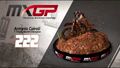 MXGP Video Game 2013 - Tony Cairoli Turntable - Motocross FIM World Championship MXGP Video Game 2013 - Tony Cairoli Turntable - Motocross FIM World Championship