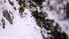 Bavarian Snow Trails