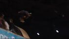 Telekom Extreme Playgrounds Berlin - Skate Vert - 1st Marcelo Bastos