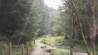 Preview: Dalby Mountain Bike World Cup 2011