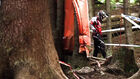 Waiting for the rain - Leogang World Cup 2011