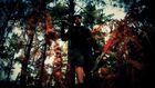 DOWNHILL MTB - Pista Prest Dago | VERSION EDITED [HD]