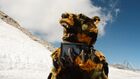 Camo Bear on the Slopes
