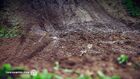 Welcome to Amped - Jake Nicholls
