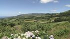 Red Bull Cliff Diving World Series 2012 - Travel Clip - Portugal/Azores/Vila Franca do Campo