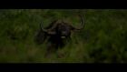 Orpheus Productions Demo Reel 2012 Final