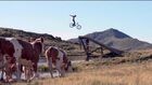 Mountain Bike Chronicles : Nine Knights - Episode 11