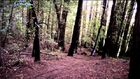2013 Team Santa Cruz X Fusion Part One