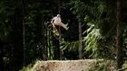 The Life of MTB Prodigy Brandon Semenuk - Red Bull Playgrounds