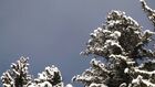 Snowpark Soell: English Freeski Breakfast 18-01-2013