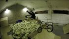 Recovery guy learning backflip with Mark Webb