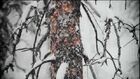 Salomon Freeski TV S6 E10 - The Burn