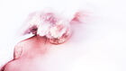 trip. E01: Ski on colored snow!