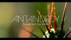 Antandroy