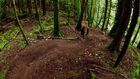 Welcome the Trail Wizard