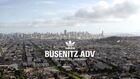 Adidas Skateboarding Busenitz ADV