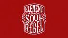 Mark Appleyard "Soul Rebel"