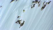 Sage Cattabriga-Alosa Powder TV Athlete Profile