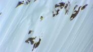 Dash Longe Powder TV Athlete Profile