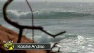 Billabong WJC 2010 - Day 5 Boys