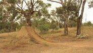 Jaie Toohey Dirt Session At Cam White's Trails