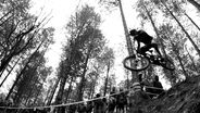Peatys Steel City DH powered by Freecaster - Photo Contest