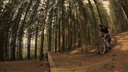 Downhill - One day in Rittershausen