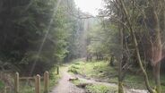 Preview: Dalby Mountain Bike World Cup 2011