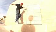 Nomad Skateboards - It Has Been A Pleasure