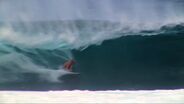 VaporSkin Boardshorts