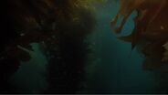 Body Glove DPV (Diver Propulsion Vehicles)