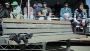 The Wrap-Up of the CWC Santa Cruz 2011