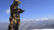 Camo Bear