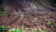 Welcome to Amped - Jake Nicholls