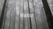 7stanes Mabie