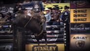 PRO Bull Riders