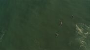Swatch Girls Pro 2012 - France - Trailer