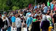 O'Neill Wake The Line 2012 - Trailer