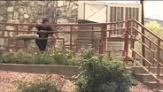 X Games LA 2012 Real Street: Aaron Jaws