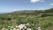 Red Bull Cliff Diving World Series 2012 - Travel Clip - Portugal/Azores/Vila Franca do Campo