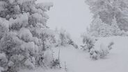 Lost Winter trailer