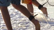 Hurricane Sandy | South Florida