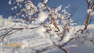 Niseko United Promotional Video.
