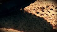 Mediterraneo 1.0 - La pelicula