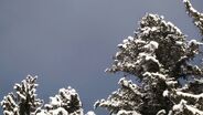 Snowpark Soell: English Freeski Breakfast 18-01-2013