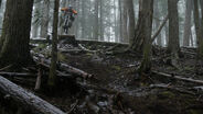December Loam