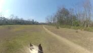 extreme horsebck riding