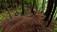 Welcome the Trail Wizard